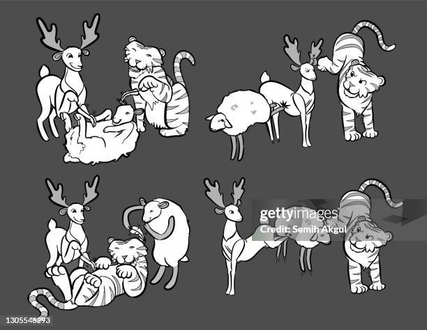 drei tiere in vier aktionen, hirsch, schafe, tiger - grautier pferdeartige stock-grafiken, -clipart, -cartoons und -symbole