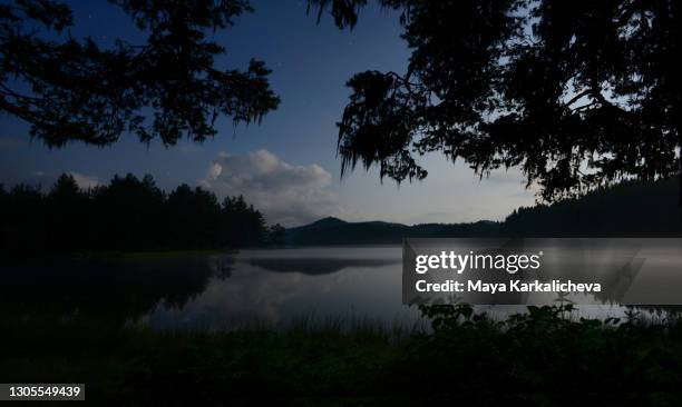 calm water at night by a mountain lake surrounded with pine trees - lakeshore stock pictures, royalty-free photos & images
