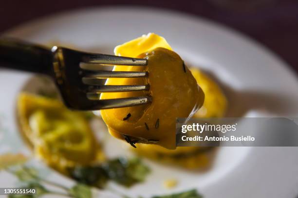 italian ravioli - tortellini bildbanksfoton och bilder