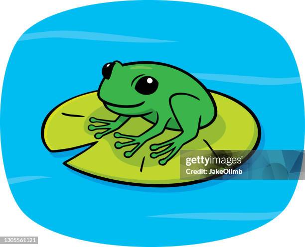 frog doodle - green tree frog stock illustrations