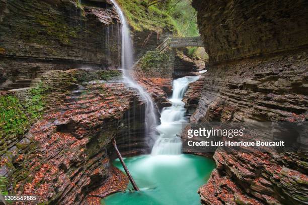 watkins glen and running water - state park stock pictures, royalty-free photos & images