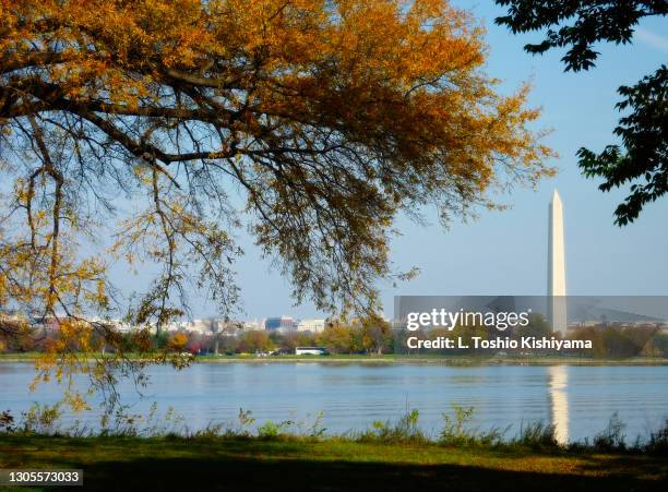 autumn in virginia - alexandria virginia foto e immagini stock