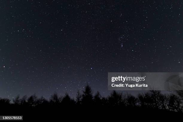 winter stars over a dark forest - dark evening sky stock-fotos und bilder