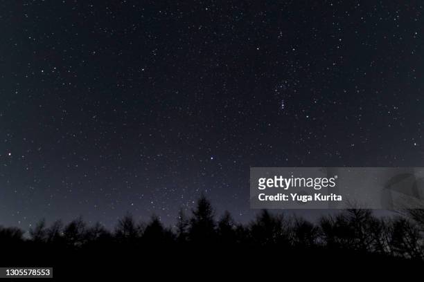 winter stars over a dark forest - stars sky 個照片及圖片檔