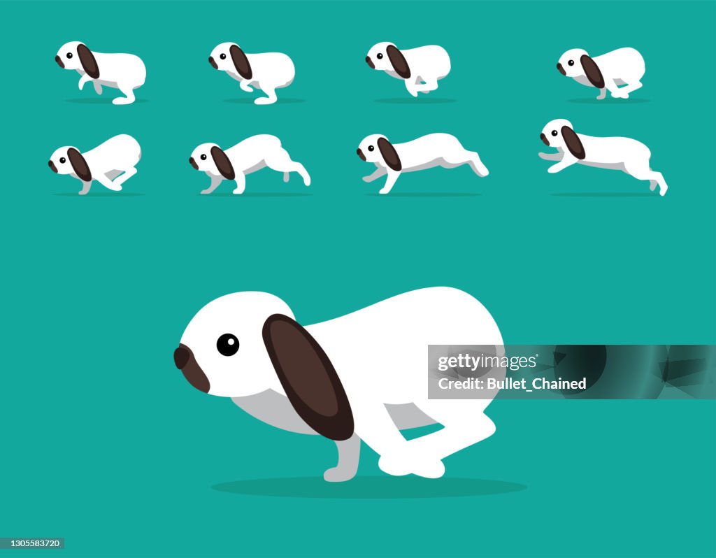 Bouncing Rabbit Sequence Animal Animation Sequence Rabbit Holland Lop Cartoon Vector High-Res ...