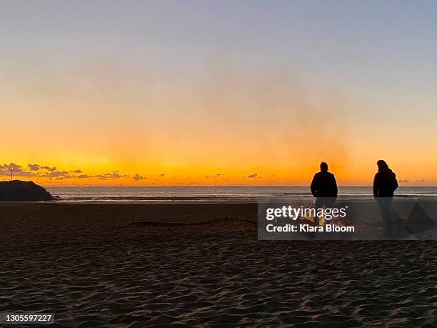 beach campfire on sand at dawn sunrise - camping new south wales stock pictures, royalty-free photos & images