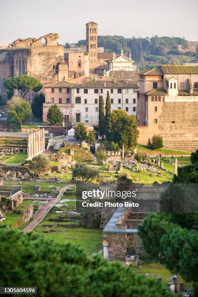 el foro romano tomado de la terraza del altare della patria en el centro de roma - foro roma fotografías e imágenes de stock