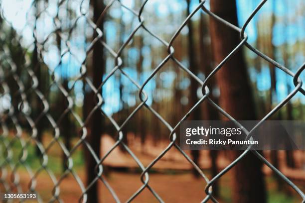full frame shot of fencing wire against pine forest background - chain link fence stock-fotos und bilder