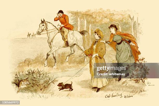 two victorian ladies encountering a huntsman on his horse - fox hunting painting stock illustrations