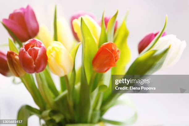 colourful tulips bouquet in green ceramic vase - close up of flower bouquet stock pictures, royalty-free photos & images