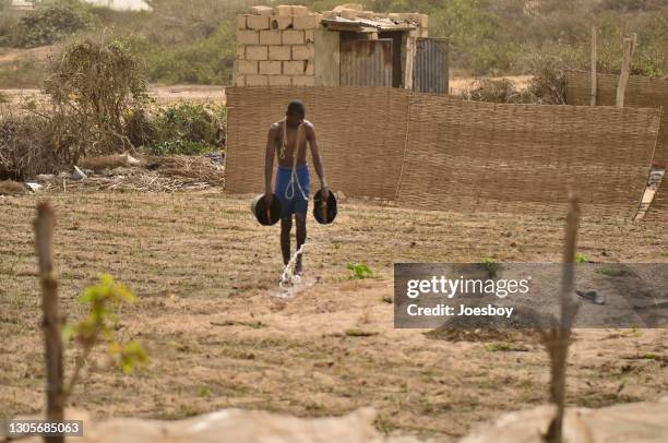 sengalese gardener watering crops - senegal man stock pictures, royalty-free photos & images