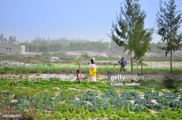 senegalese vrouwen met dochter die gewassen verzorgen - dakar stockfoto's en -beelden