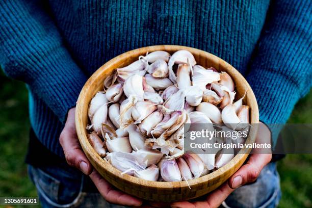 a bowl with lots of garlic - garlic stock-fotos und bilder