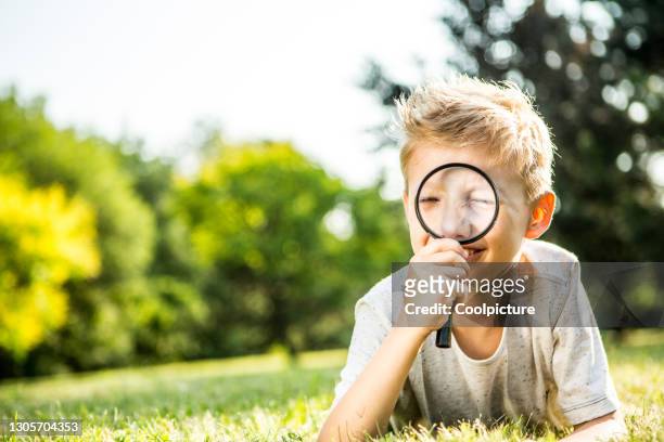 boy with magnifying glass on a meadow - child magnifying glass imagens e fotografias de stock