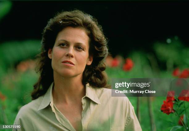 American actress Sigourney Weaver as naturalist Dian Fossey in the film 'Gorillas in the Mist', 1988.