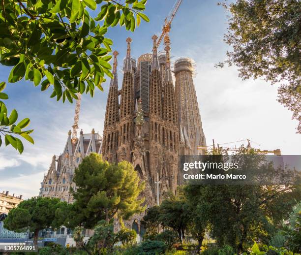 details of the incredible sagrada familia - sagrada familia photos et images de collection