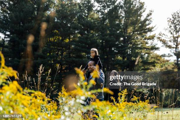 family walking outdoors in field on sunny day - family selective focus stock pictures, royalty-free photos & images