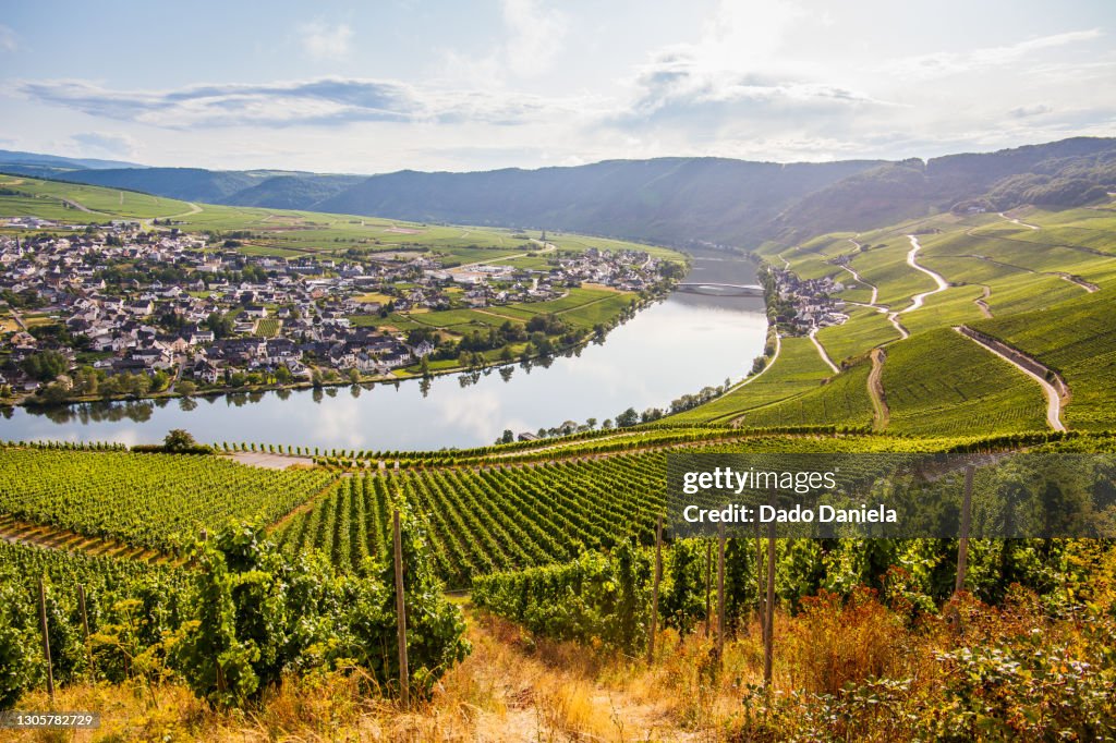 Mosel Valley