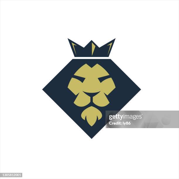 lion head - lion cub stock illustrations