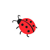 Cute ladybug simple flat design