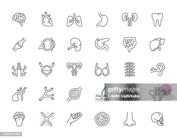 illustrations, cliparts, dessins animés et icônes de human organs thin line icon set série - cancer illness