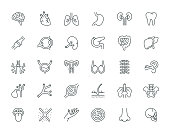 Human Organs Thin Line Icon Set Series