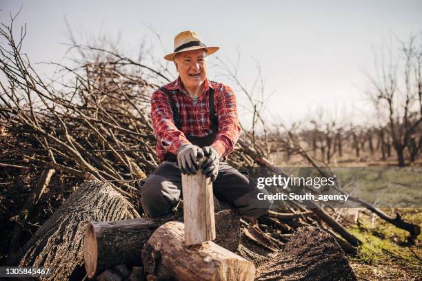 senior lumberjack sitting on pile of wood - lumberjack stock pictures, royalty-free photos & images