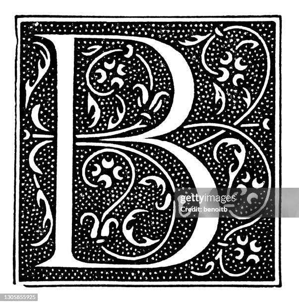 illustrations, cliparts, dessins animés et icônes de lettre initiale historiée b - lettre b