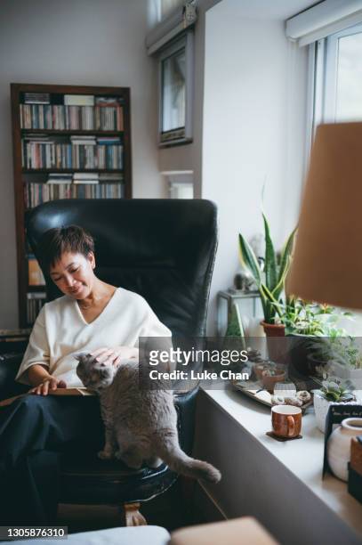 senior woman relaxing time - cat holding sign imagens e fotografias de stock