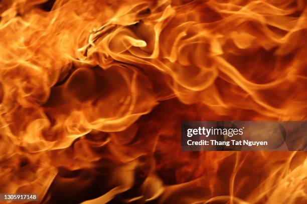 wood fire on black background - brennbar stock-fotos und bilder