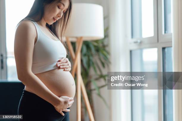 pregnant woman looking down and holding her bump by window in living room - flat stomach fotografías e imágenes de stock