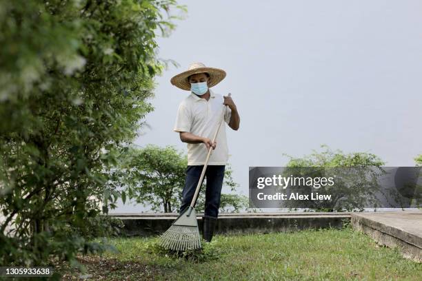 gardener - alex gardner stock pictures, royalty-free photos & images