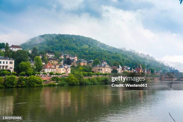 germany, baden-wurttemberg, heidelberg, neckar and riverside houses in neuenheim district - heidelberg foto e immagini stock