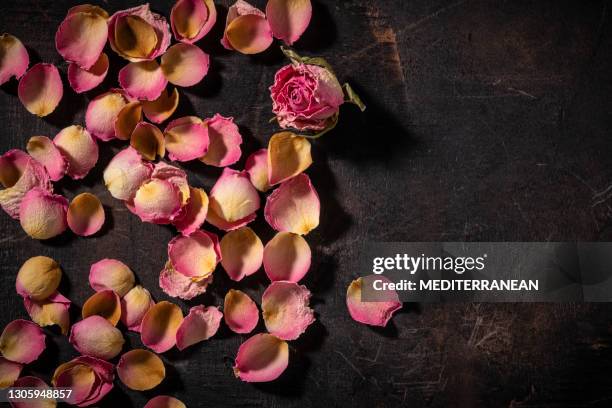 petali di rosa per tè essiccati sono fiori commestibili - foglie di tè bevanda foto e immagini stock