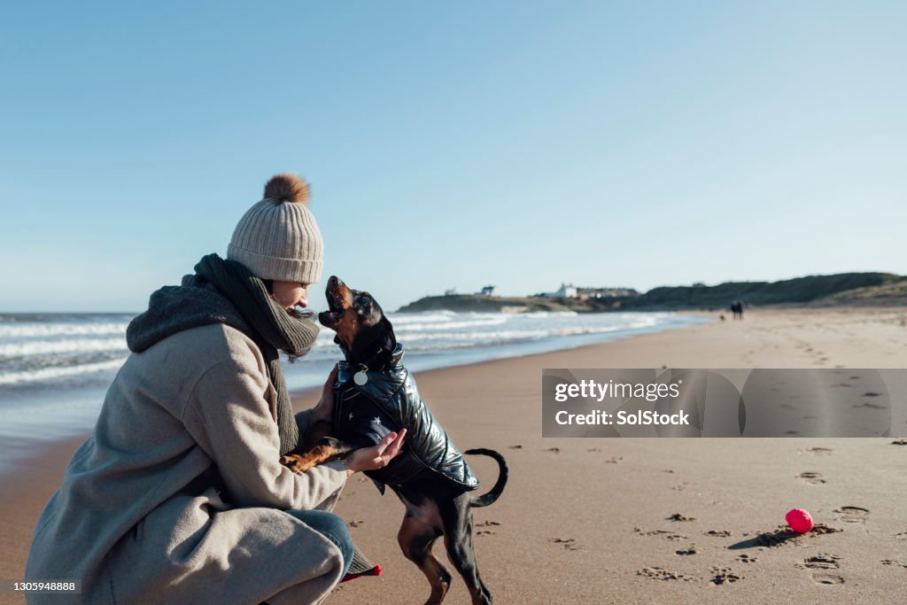 De beste vriendschap