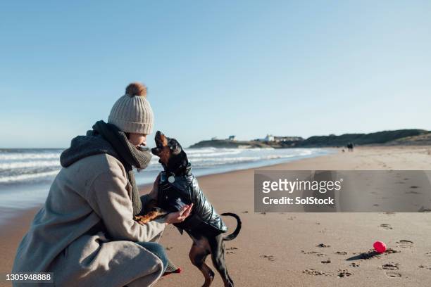 the best friendship - dog coat stock pictures, royalty-free photos & images