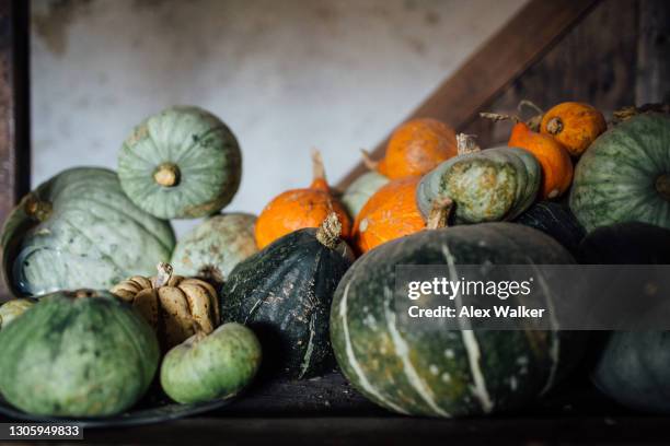 pumpkins of various shapes and sizes on a table - squash vegetable fotografías e imágenes de stock