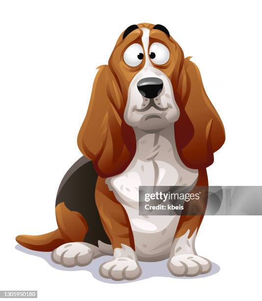 ilustraciones, imágenes clip art, dibujos animados e iconos de stock de lindo perro- basset hound - basset hound