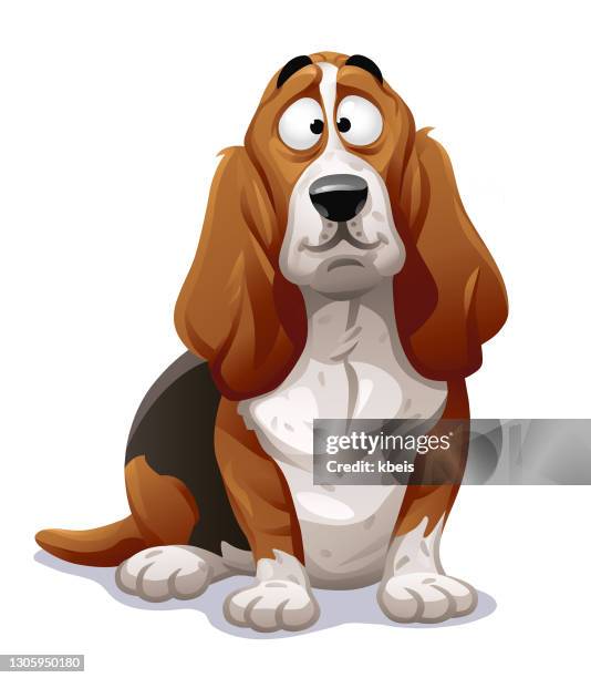 ilustrações, clipart, desenhos animados e ícones de cão fofo- basset hound - linda bassett