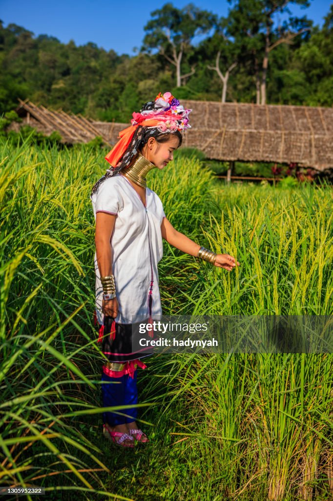 Woman from Long Neck Karen tribe crossing rice field