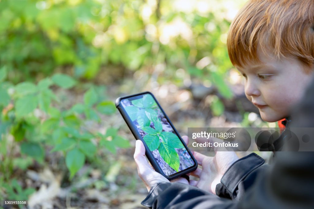 Mother and Son Hiking in the Forest and Learning about Plants and Poison Ivy with Mobile App