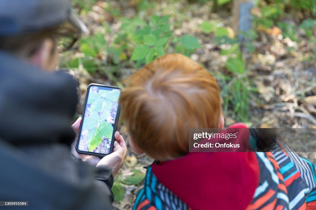Mother and Son Hiking in the Forest and Learning about Plants and Poison Ivy with Mobile App