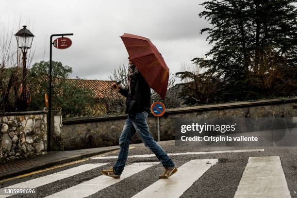 woman with umbrella passing through a zebra crossing - dar passos largos imagens e fotografias de stock