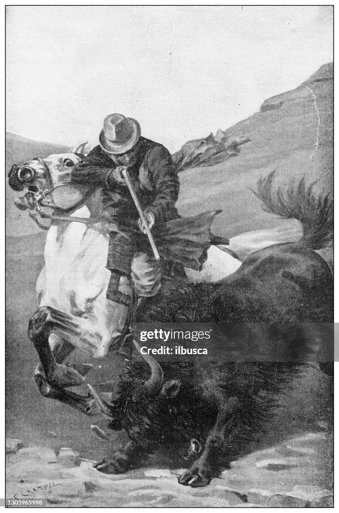 Antique illustration: Killing a bison