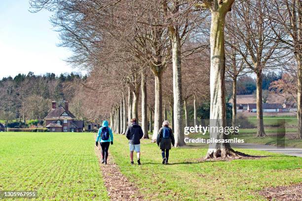 hikers near moor critchel, dorset, england, uk. - english village stock pictures, royalty-free photos & images