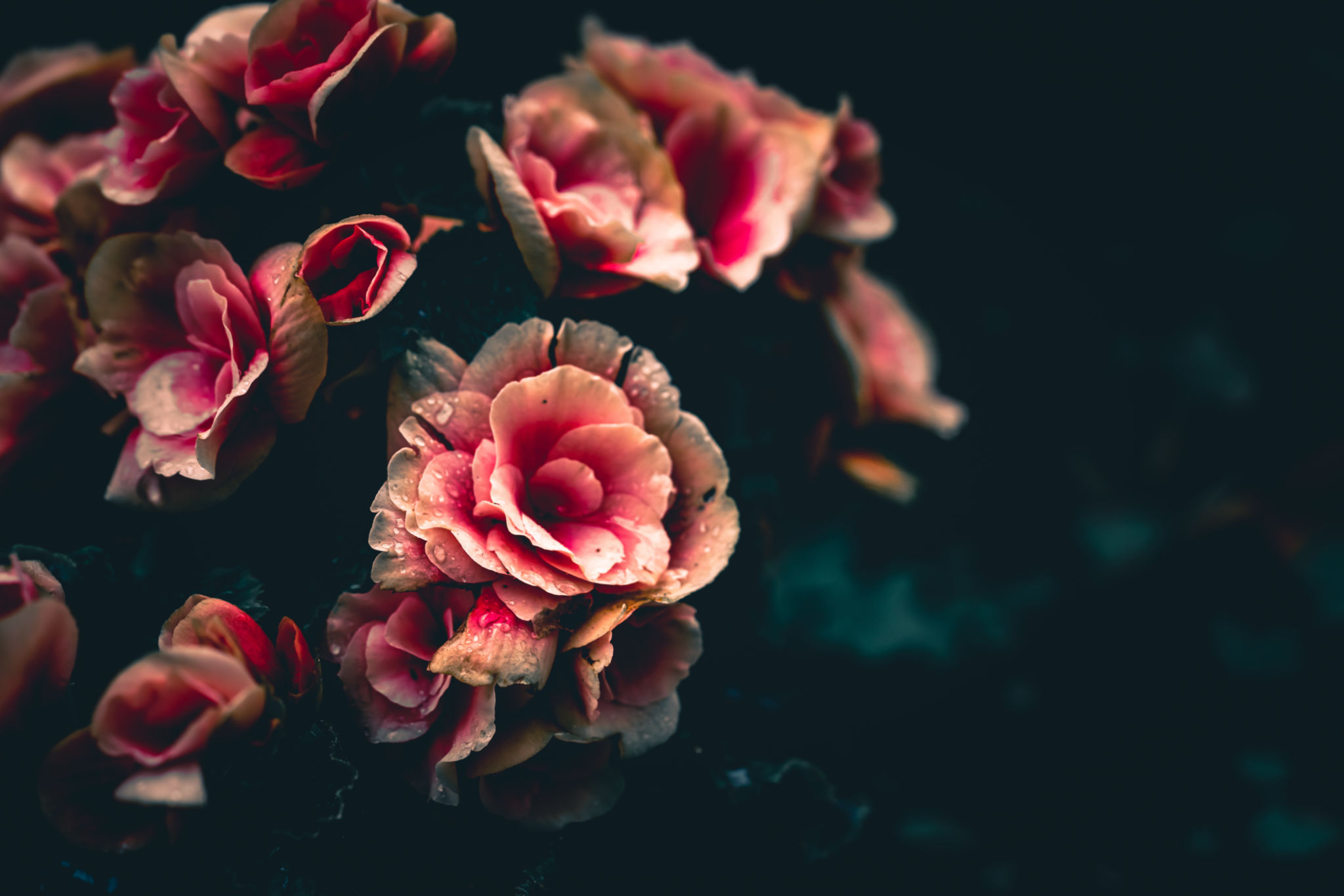 floral perfume
