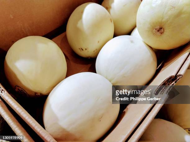 close-up of honeydew melons - gladde meloen stockfoto's en -beelden