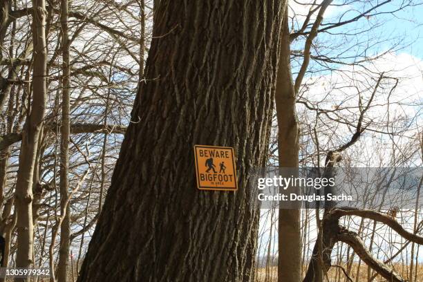 sign on tree warning of bigfoot - bigfoot bildbanksfoton och bilder