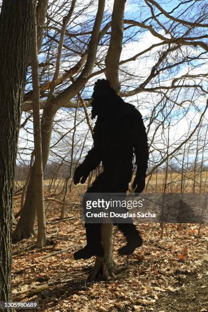 silhouette of bigfoot creature in the forest - bigfoot stock pictures, royalty-free photos & images