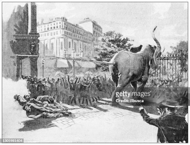 antike illustration: zirkus in der stadt - circus elephants processions and shows stock-grafiken, -clipart, -cartoons und -symbole